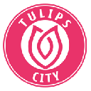 Tulips City logo