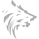 Wolfystreetbets logo