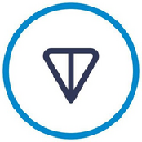 TON Coin logo
