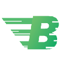Bitcashpay (new) logo