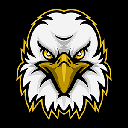 Eagle Vision logo