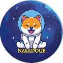 Nasa Doge logo