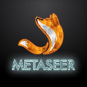 Metaseer logo