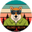 Floki Elon logo