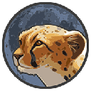 Token Cheetah logo