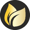 Earnfinex logo