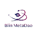 Blin Metaverse logo