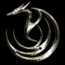 Dragon Infinity logo