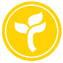 Top Flower logo