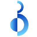 BlueChip Capital Token logo