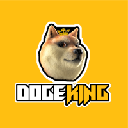 DogeKing Metaverse logo