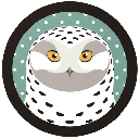 Snowy Owl logo