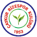 Rizespor Token logo