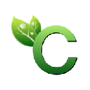 C Token logo