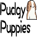 Pudgy Pups Club[new] logo