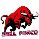 Bull Force Token logo