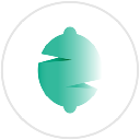 Zest Synthetic Protocol logo