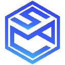 Smart Link Solution logo