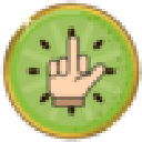 kiwi logo