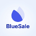 BlueSale Finance logo