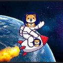 Starship Doge logo