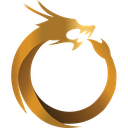 Dragon Coins logo