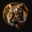 TigerMoon logo