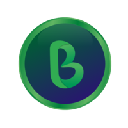 BOLICAI logo