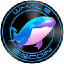 Whale Big Coin logo