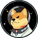 Satellite Doge-1 Mission logo
