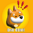 BNB BONK logo