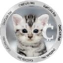 CatCoin Inu logo