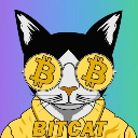Bitcat logo