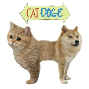 CAT DOGE logo