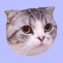 Taylor Swift's Cat MEREDITH logo