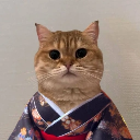 Cat Own Kimono logo