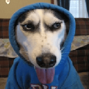 a dog in a hoodie logo