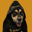 BNBDOG logo