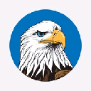 Hawk logo