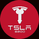 TSLA6900 logo