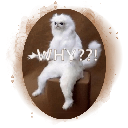 WhyCat logo