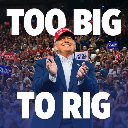 Too Big To Rig logo