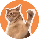 CatSlap logo