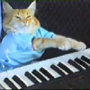 Keyboard Cat(keycatsol.com) logo