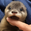 Degen the Otter logo