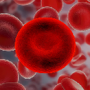 Red Blood Cell logo