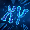 Chromosome logo