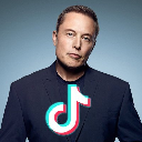 ELON BUYS TIKTOK logo