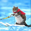 Twiggy the water skiing squirrel logo