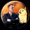 DOGEMARS logo